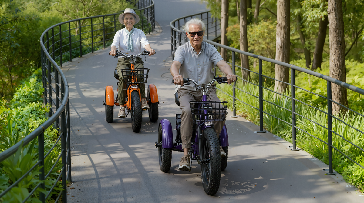 Electric Trike Battery Efficiency Guide