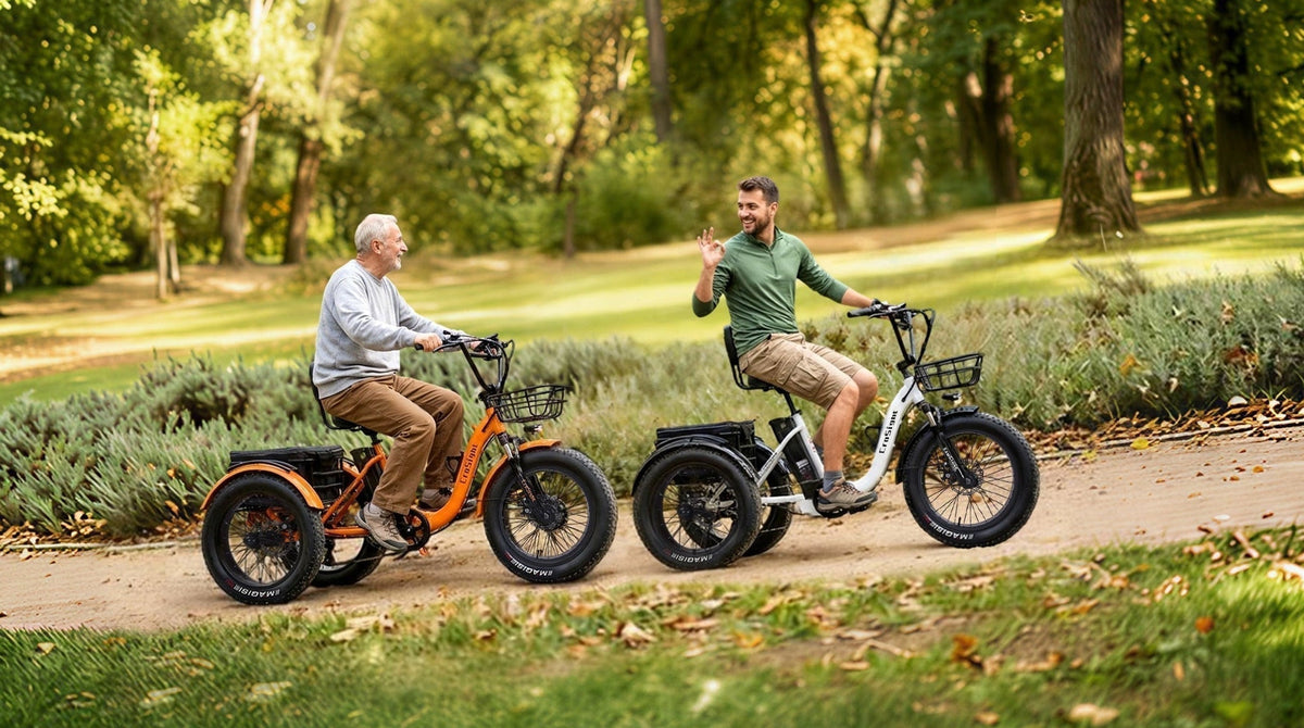 What Makes an Electric Trike Stable