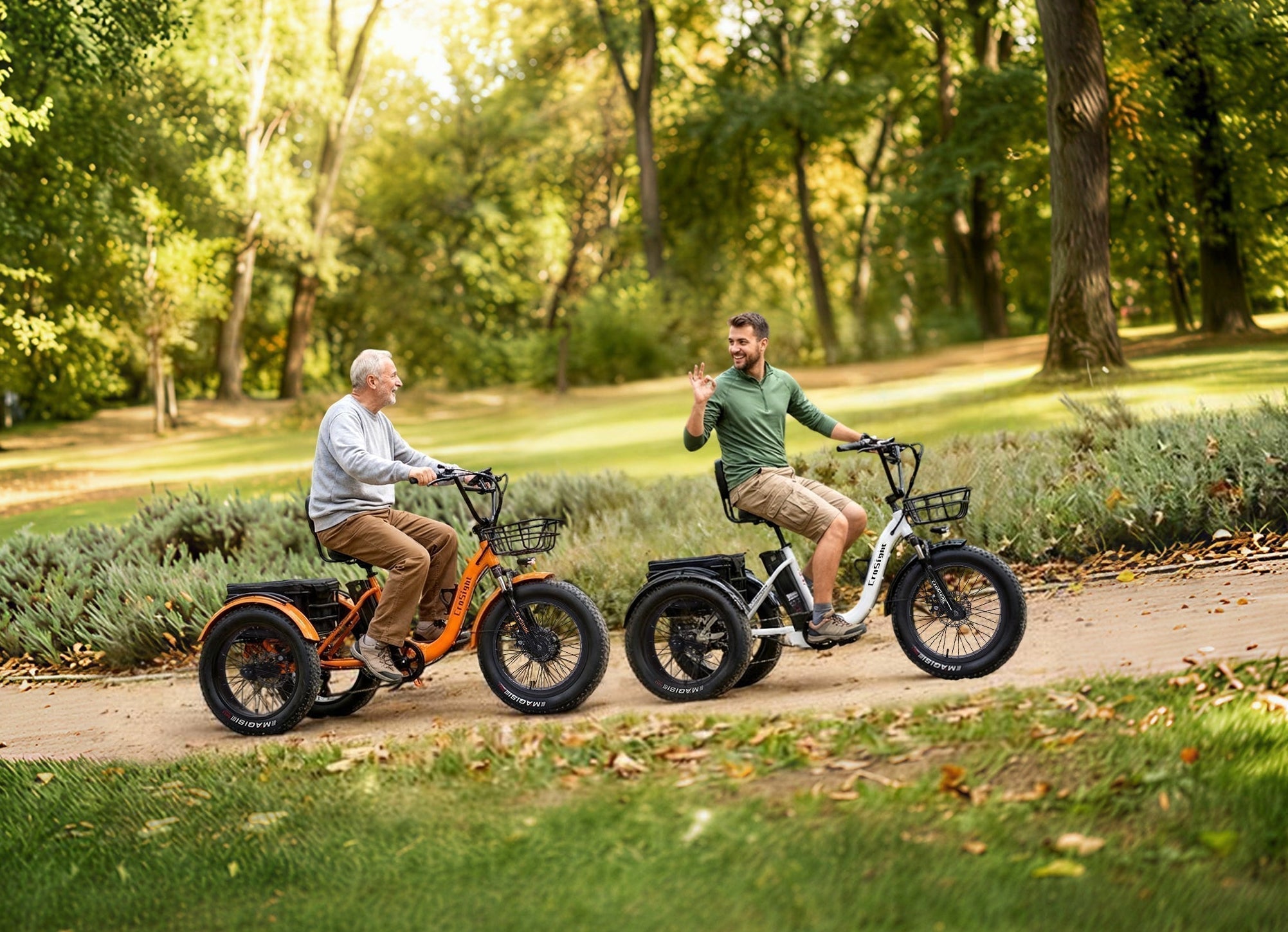 What Makes an Electric Trike Stable