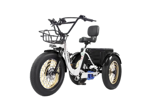 CroSight 2.0 Pro Smart Bluetooth Rear-Drive Electric Trike