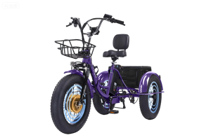 CroSight 2.0 Smart Bluetooth Foldable Electric Trike