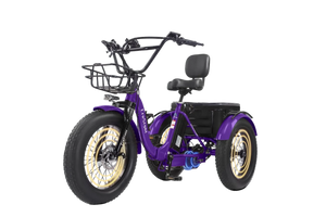 CroSight 2.0 Pro Smart Bluetooth Rear-Drive Electric Trike