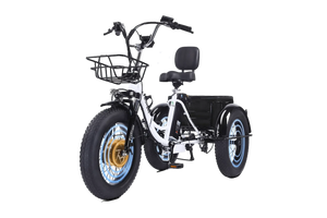 CroSight 2.0 Smart Bluetooth Foldable Electric Trike
