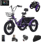 CroSight 1.0 Electric Tricycle